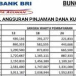 Pentingnya Membaca Tabel Dana Kur Bri 2024 Sebelum Mengajukan