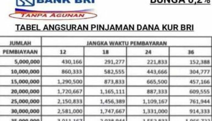 Contoh Tabel Angsuran Kur Bri 2024 Plafon 200 Juta Dengan Tenor 5 Tahun