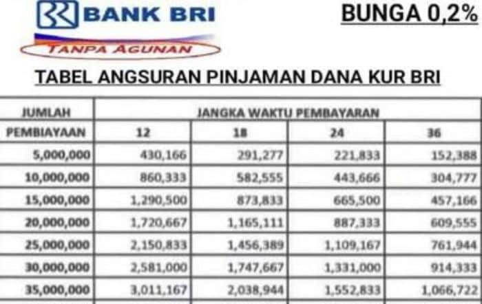 Contoh tabel angsuran KUR BRI 2024 plafon 200 juta dengan tenor 5 tahun