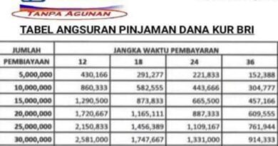 Tabel Angsuran Pinjaman Bri 2024