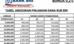 Cara Menghitung Angsuran Kur Bri 2024 Plafon 200 Juta Sendiri