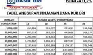 Cara Menghitung Angsuran Kur Bri 2024 Plafon 200 Juta Sendiri