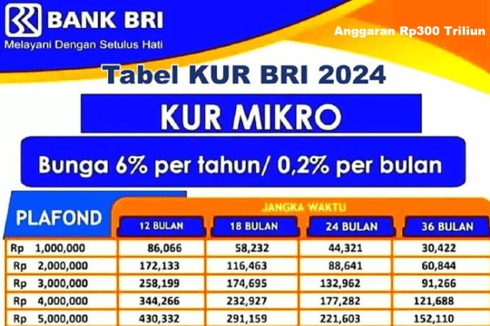 Keuntungan dan kekurangan KUR BRI 2024 bagi pengusaha