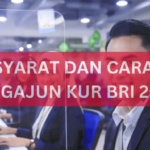 Pengalaman Mengajukan Kur Bri 2024 Dan Tipsnya