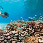 Pilihan Aktivitas Selain Snorkeling Dan Diving Di Maladewa