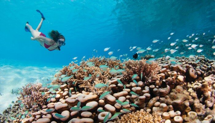 Pilihan Aktivitas Selain Snorkeling Dan Diving Di Maladewa