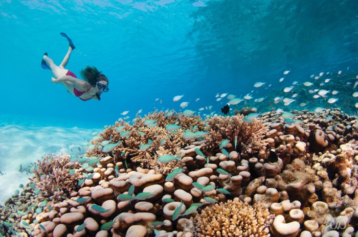 Pilihan aktivitas selain snorkeling dan diving di Maladewa