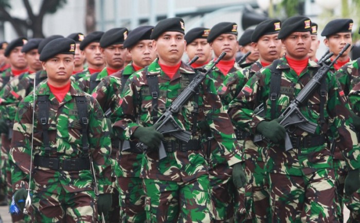 TNI dan Peran Pentingnya dalam Keamanan Nasional