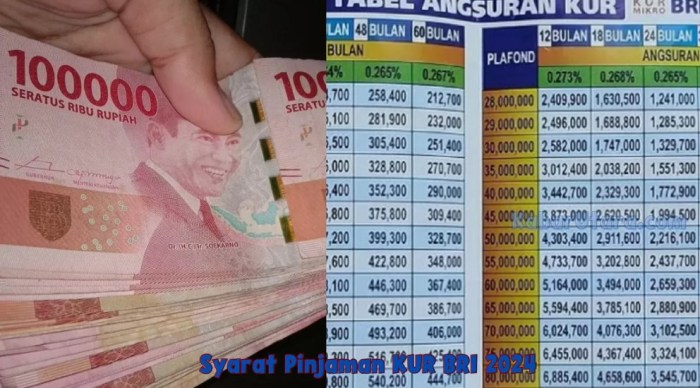 Daftar Bank Yang Menyediakan Pinjaman Kur Bri 2024