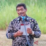 Jurnal Keperawatan Belitung 2024