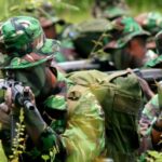 Tni Dan Dukungannya Untuk Pembangunan Nasional