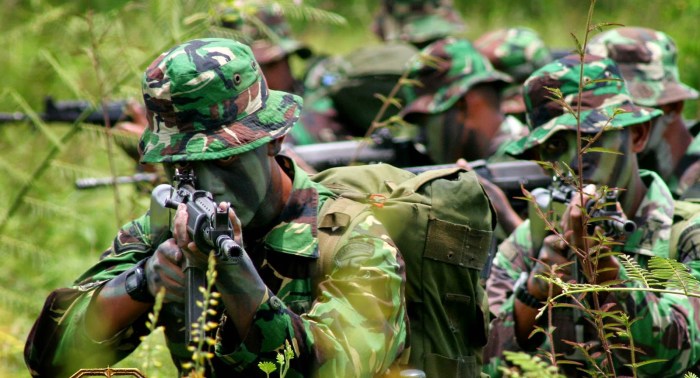 TNI dan Dukungannya untuk Pembangunan Nasional