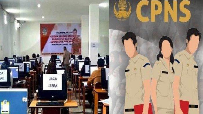 Statistik Pelamar PPPK 2024 di Bidang Kesehatan