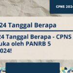 Kapan Pengumuman Administrasi Cpns 2024