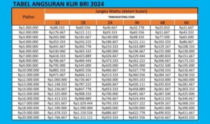 Apakah Kur Bri 2024 Plafon 200 Juta Bisa Untuk Modal Usaha