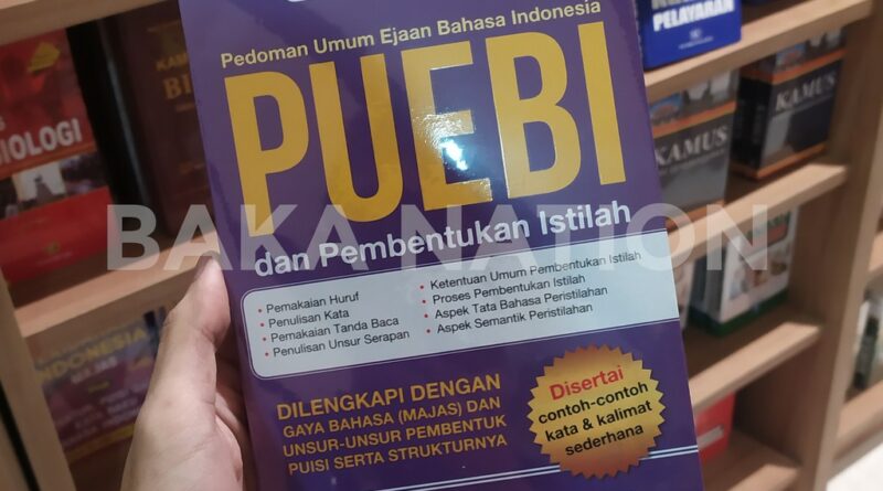 Kolaborasi Internasional Dalam Pengembangan Bipa