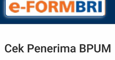 Eform BNI Co Id BPUM Pakai KTP Tahap 3 2024: Panduan Lengkap untuk Penerima BLT UMKM