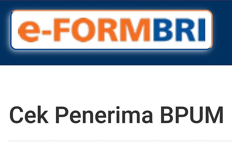 Nik Ktp Eform Bri Cek Penerima Umkm 2024