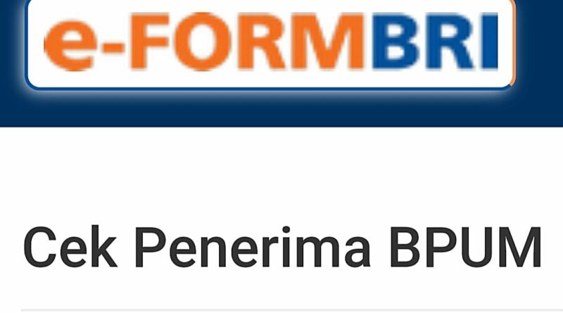 Eform BNI Co Id / Bpum Cek Penerima 2024: Panduan Lengkap