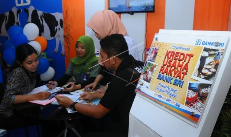 Pilihan skema pinjaman KUR BRI 2024 yang sesuai dengan kebutuhan bisnis Anda