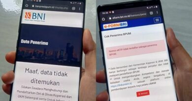 Apakah e-Form BRI 2024 Bisa Dicek dengan NIK?