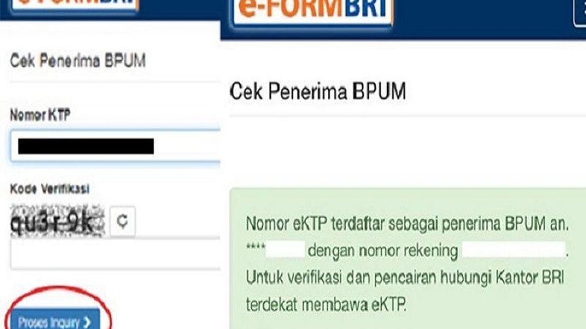 Website Cek Eform BRI 2024 dengan NIK