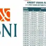 Jenis Asuransi Di Bank Bni 2024