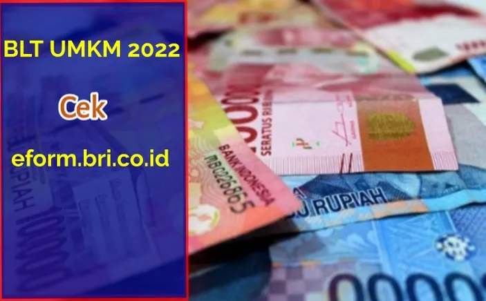 Cek status eform bri 2024 dengan NIK