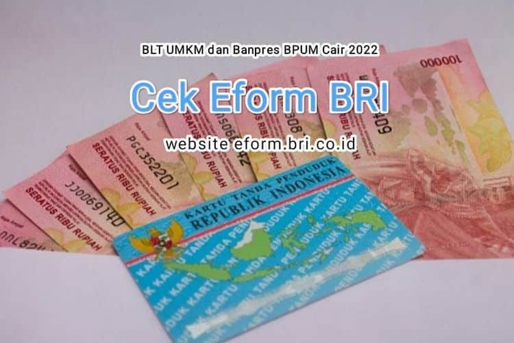 Eform Bri Umkm Cek Nik Ktp Elektronik 2024