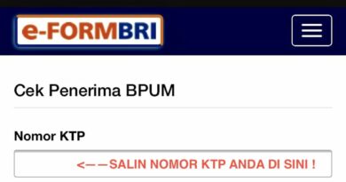 Eform Bri.Co.Id/Bpum Pakai Ktp 2024: Panduan Lengkap Mendapatkan Bantuan Modal Usaha