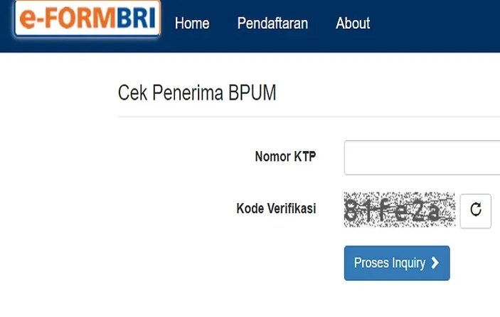 Syarat Cek Eform BRI 2024 dengan NIK: Panduan Lengkap