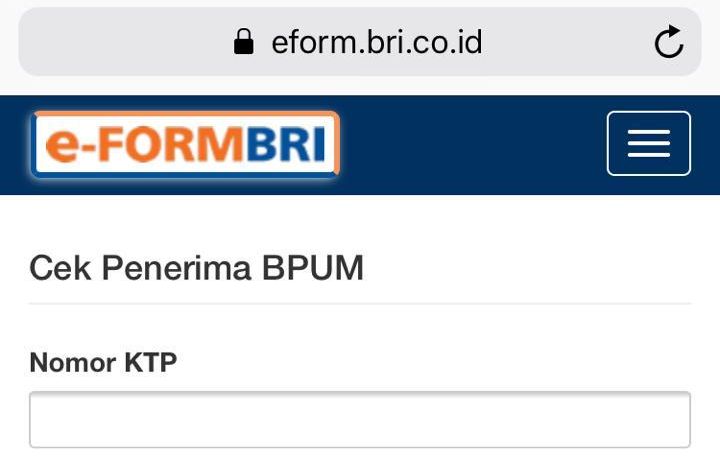 Eform Bri Tahap 3 2024