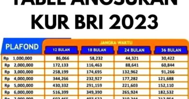 Pinjaman Di BRI KUR 2024: Solusi Modal Usaha Anda