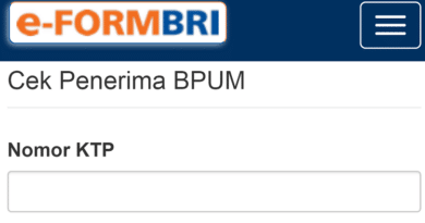 E-Form BRI Cek NIK KTP 2024: Cara Mudah Cek Data Pribadi di Bank BRI