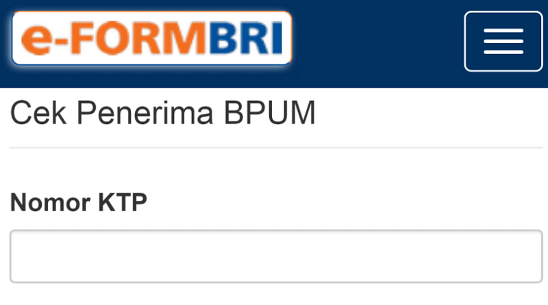 E-Form Bri Co Id Umkm 2024: Solusi Cepat dan Mudah Akses Kredit Usaha