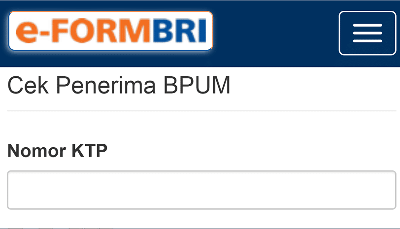 E-Form Bri Cek Nik Ktp 2024