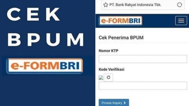 e-form BRI 2024 Cek NIK Online Cepat: Solusi Praktis dan Efisien