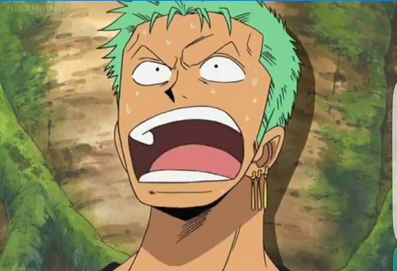 Pp Wa Lucu Zoro