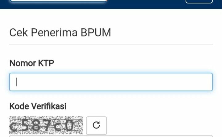 Aplikasi Cek E-form BRI 2024 Pakai NIK: Mudahkan Transaksi Anda