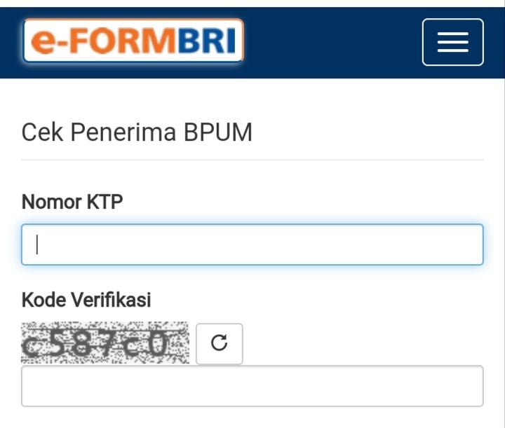 Aplikasi cek eform bri 2024 pakai NIK