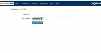 Cara Cek eForm BRI 2024 Terbaru dengan NIK: Panduan Lengkap dan Mudah