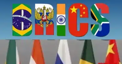 Apa Untungnya Indonesia Gabung Brics?