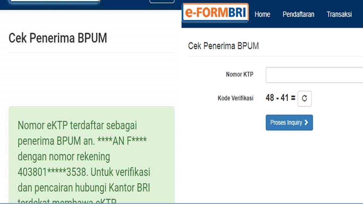 Cara Cek Eform Bri 2024 Melalui Website