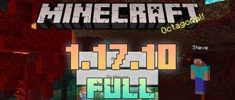 Download Minecraft 1.17.10 2024