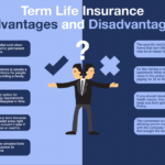 Jenis Asuransi Term Life 2024