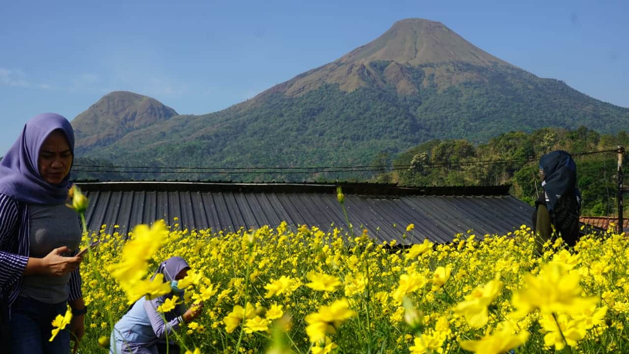 Wisata Kuliner Mojokerto 2024