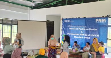 PNM Mekar BNI 2024: Solusi Tepat untuk UMKM Berkembang