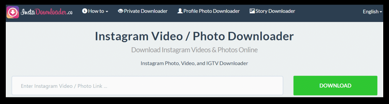 Instagram Downloader No Watermark 2024