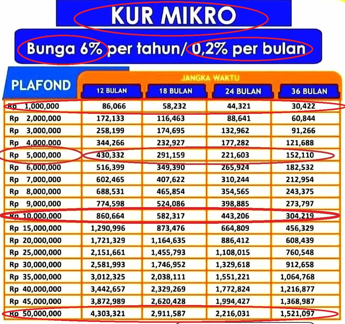 Tabel Angsuran Bri 2020 Bukan Kur 2024