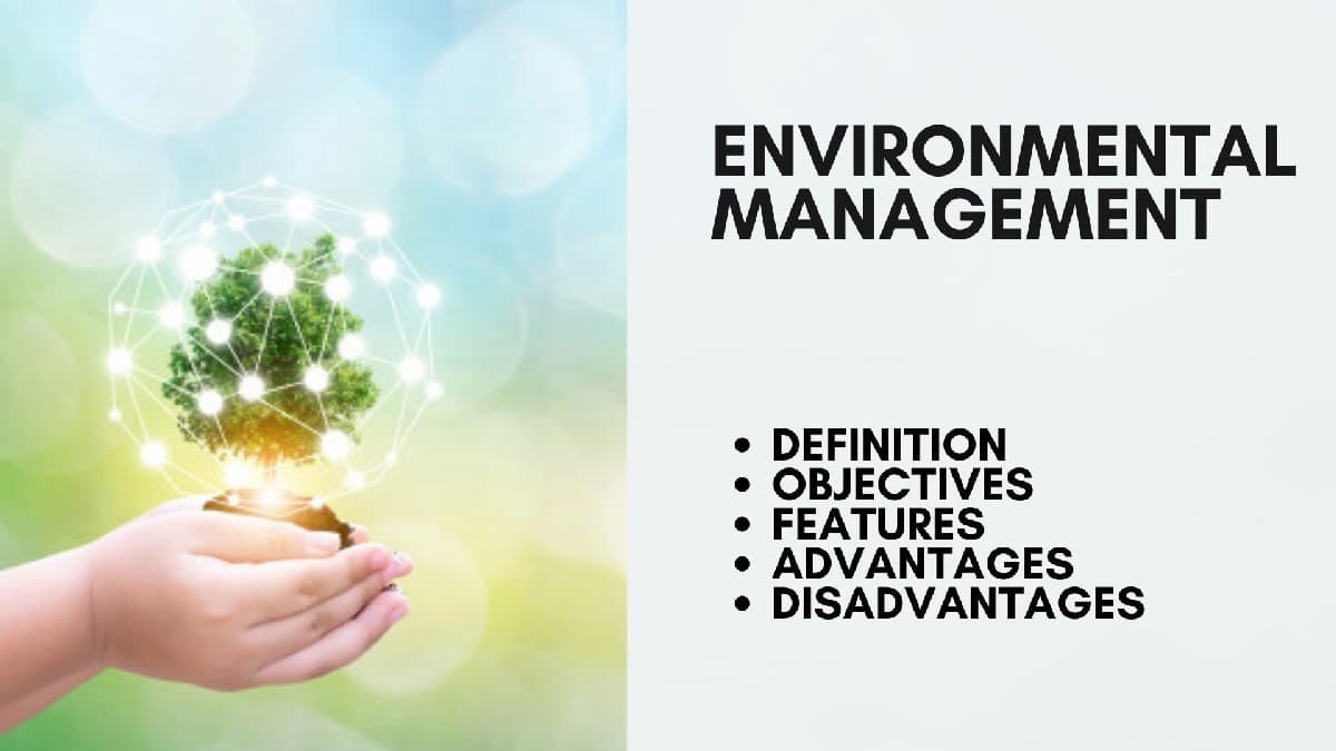 Environmental sustainability people vector environment concept clipart resources vecteezy graphics system website